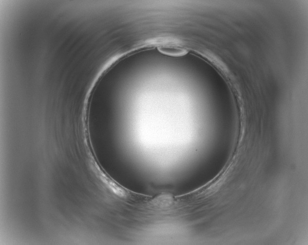 X0000067341248200604030951