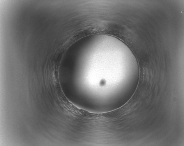 X0000067341250200604030950