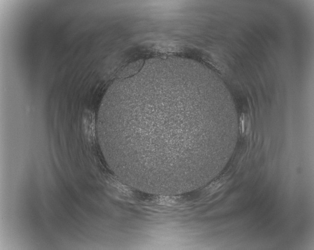 X0000067341251200604030950
