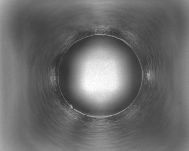 X0000067341252200604030950