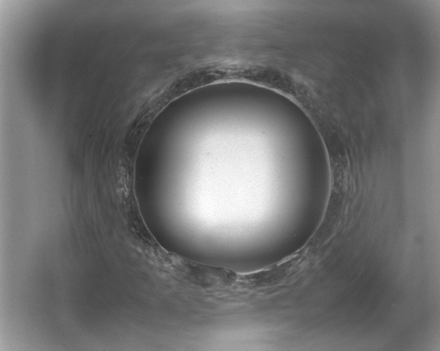 X0000067341253200604030950