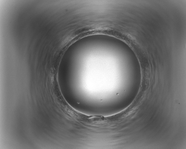 X0000067341257200604030950