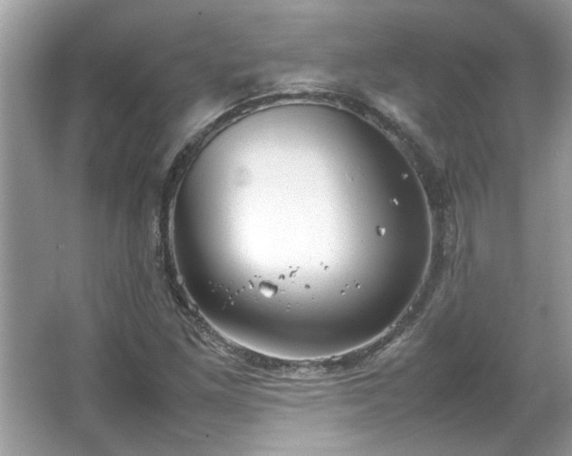 X0000067341261200604030950