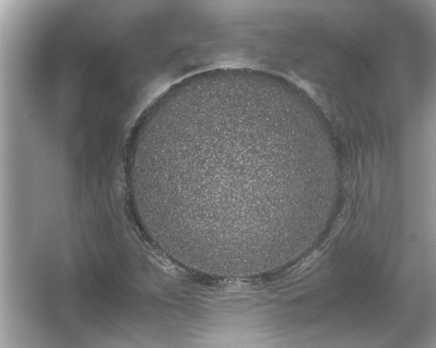X0000067341263200604030950