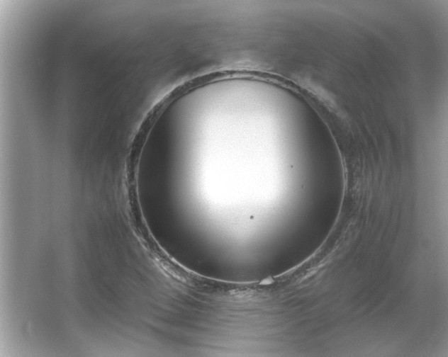 X0000067341264200604030950
