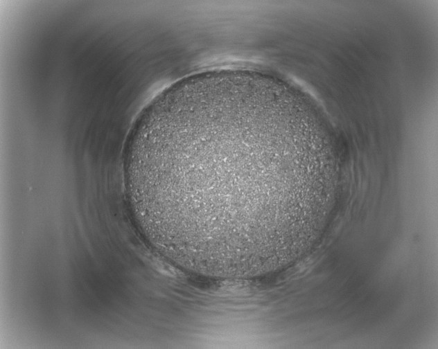 X0000067341267200604030950