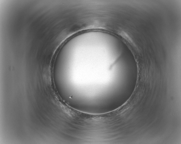 X0000067341268200604030950