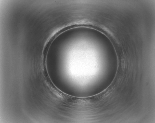 X0000067341270200604030950