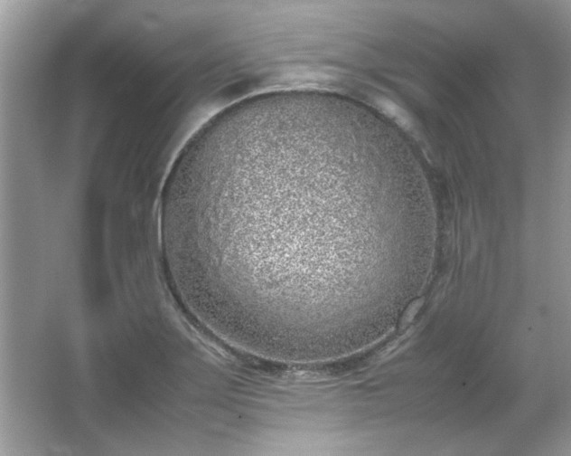 X0000067341275200604030950