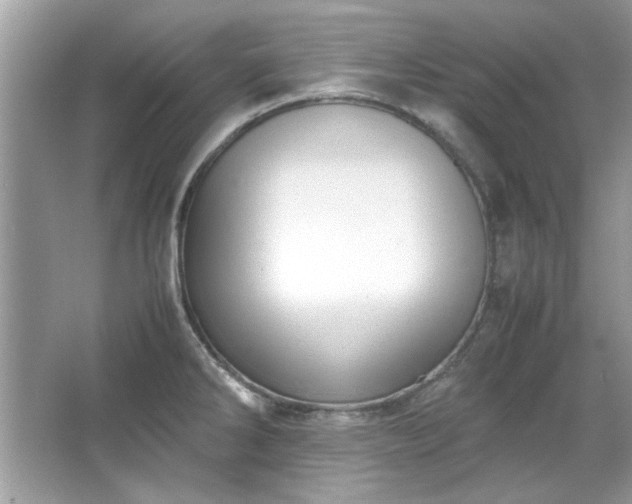 X0000067341286200604030949