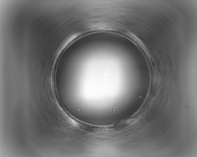 X0000067341293200604030949