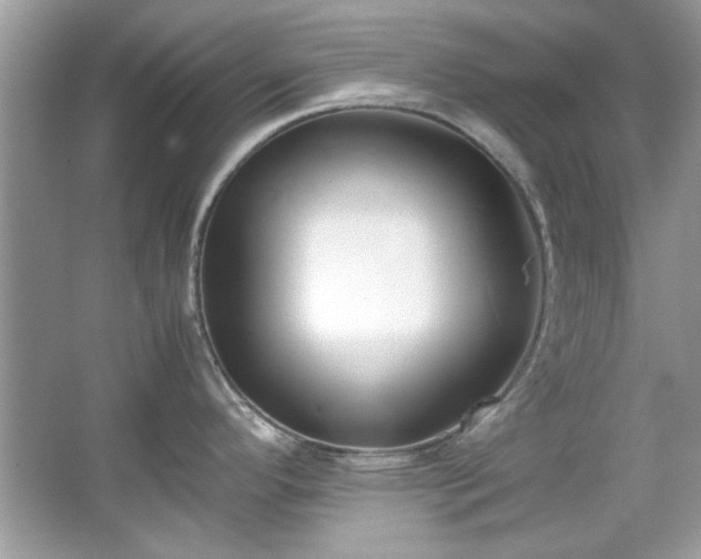 X0000067341296200604030949