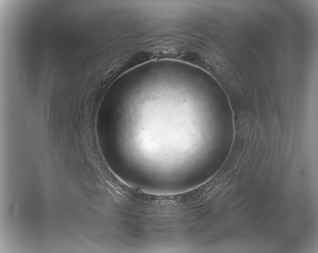 X0000067341297200604030948