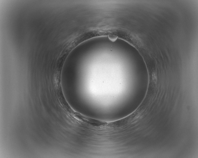 X0000067341300200604030948
