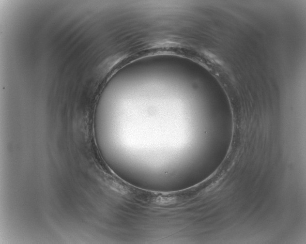 X0000067341313200604030949