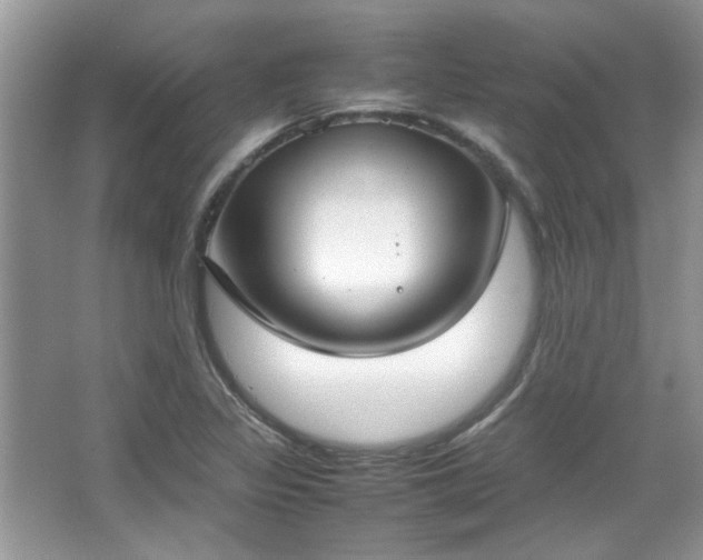 X0000067341317200604030949