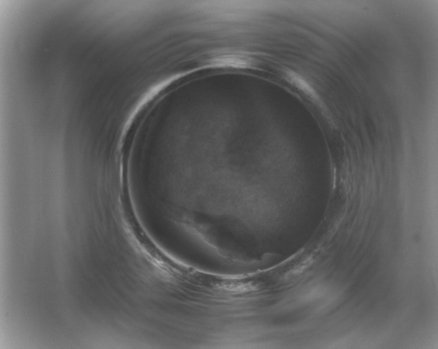 X0000067341323200604030949