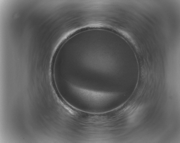 X0000067341327200604030949
