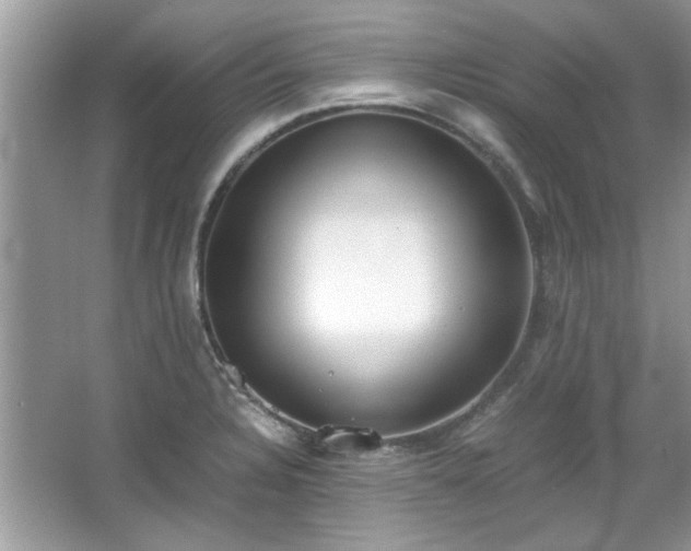 X0000067341328200604030949