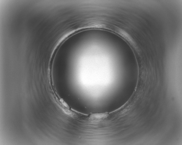 X0000067341332200604030949