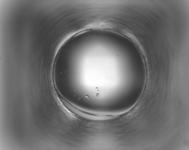 X0000067341344200604030949