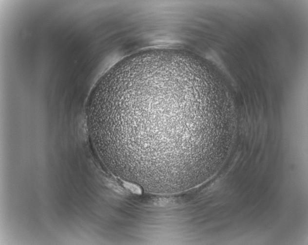X0000067341362200604030948