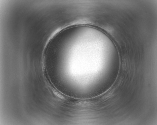 X0000067341366200604030948
