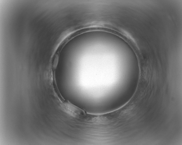 X0000067341368200604030948
