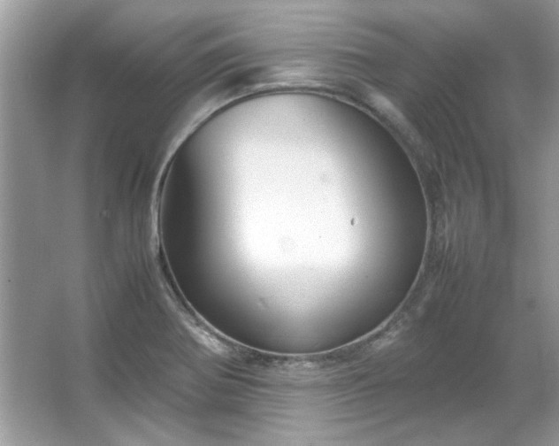 X0000067341370200604030948