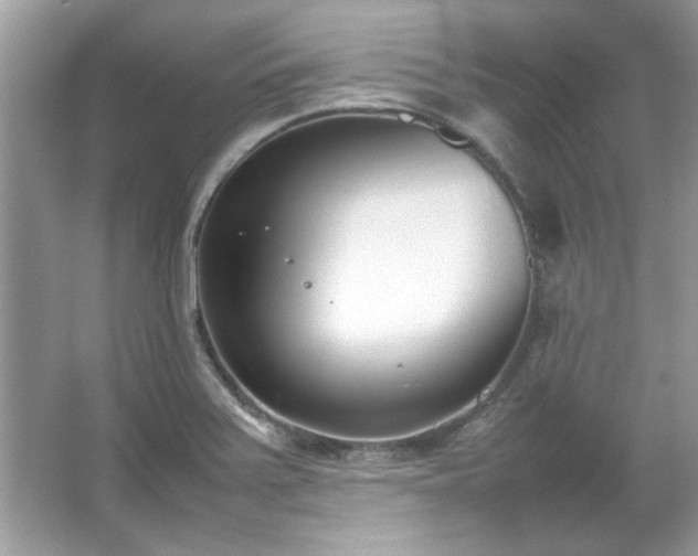 X0000067341371200604030948