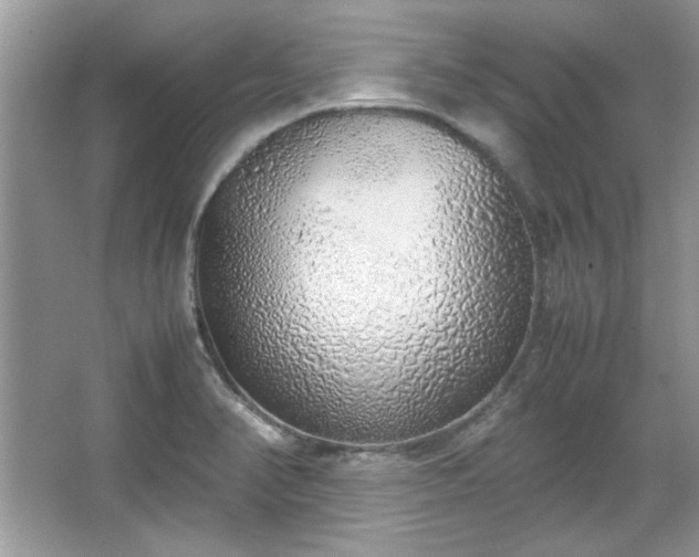 X0000067341374200604030948