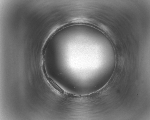 X0000067341376200604030948