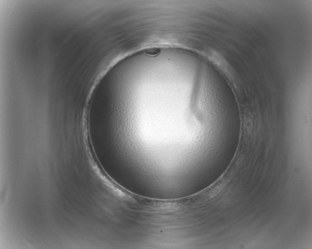 X0000067341382200604030948