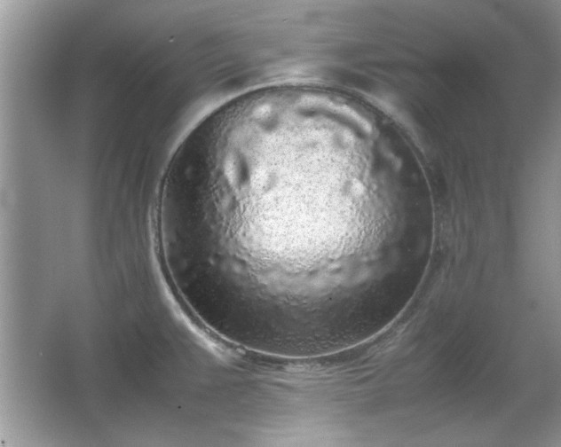 X0000067341383200604030948