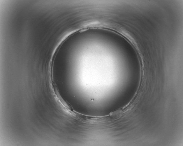 X0000067341392200604030948