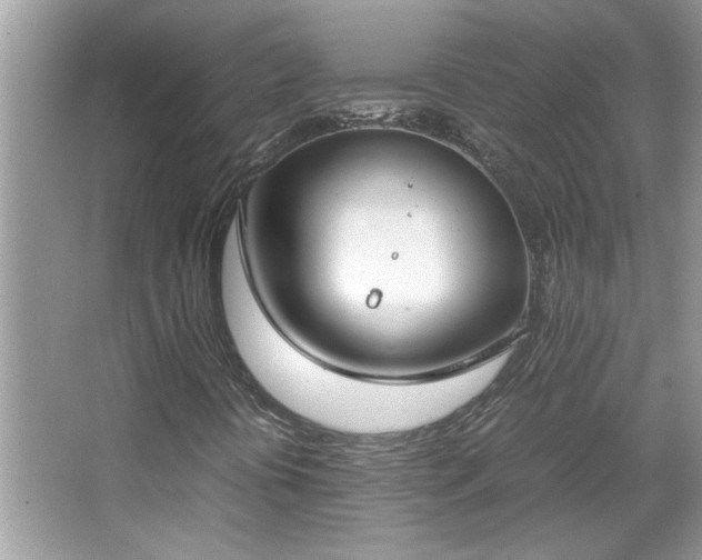 X0000067341394200604030947