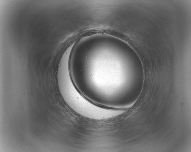 X0000067341398200604030947