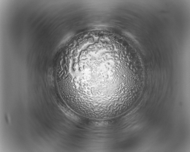 X0000067341403200604030947