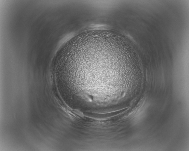X0000067341405200604030947