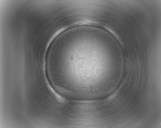X0000067341418200604030947