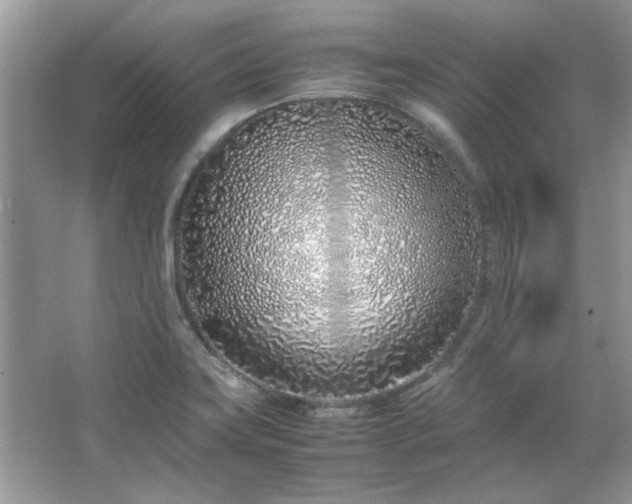 X0000067341419200604030947