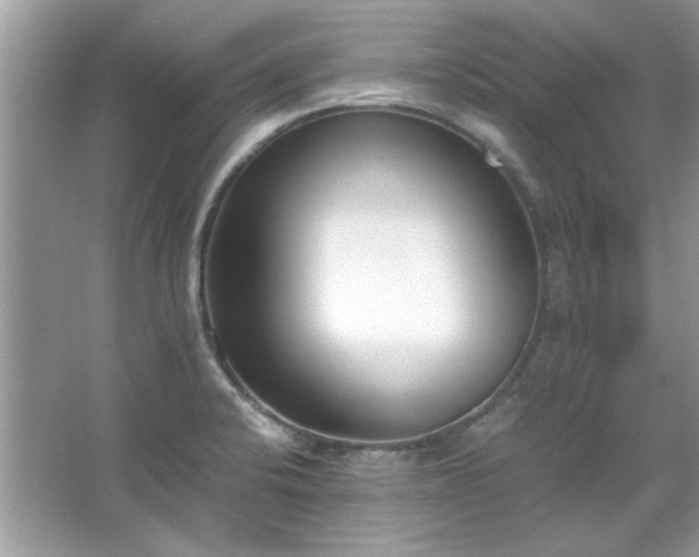 X0000067341424200604030947