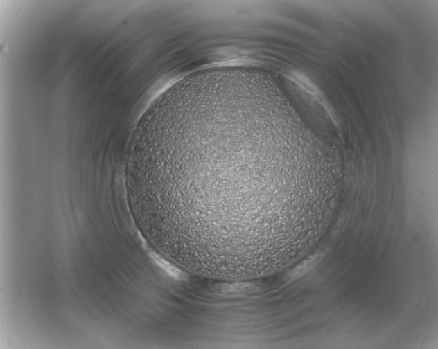 X0000067341425200604030947