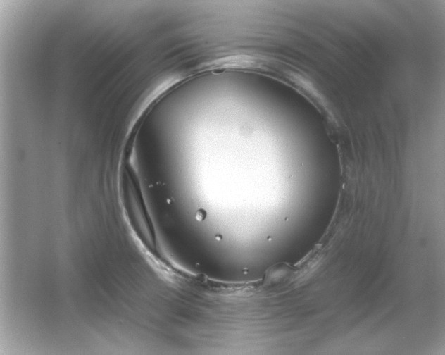 X0000067341426200604030947
