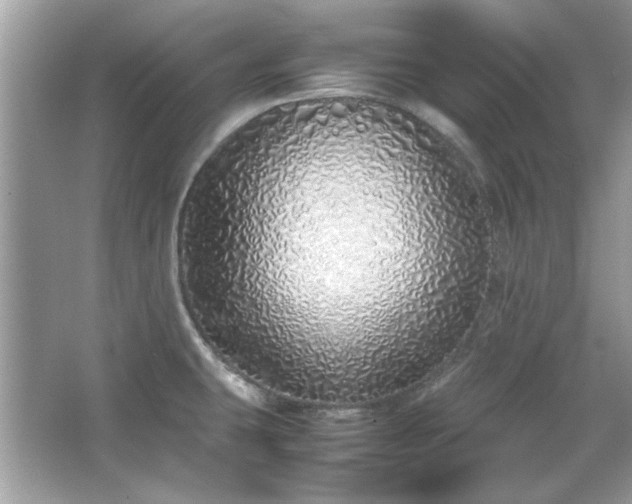 X0000067341431200604030947