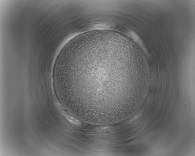 X0000067341435200604030948
