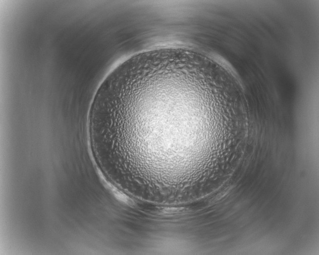 X0000067341439200604030948
