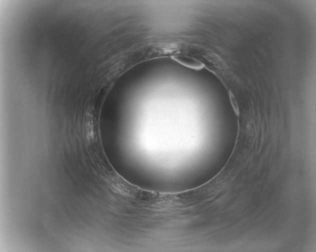 X0000067341442200604030947