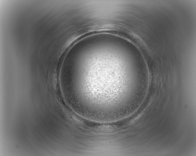 X0000067341457200604030947