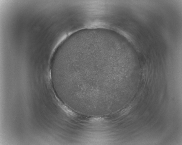 X0000067341462200604030946